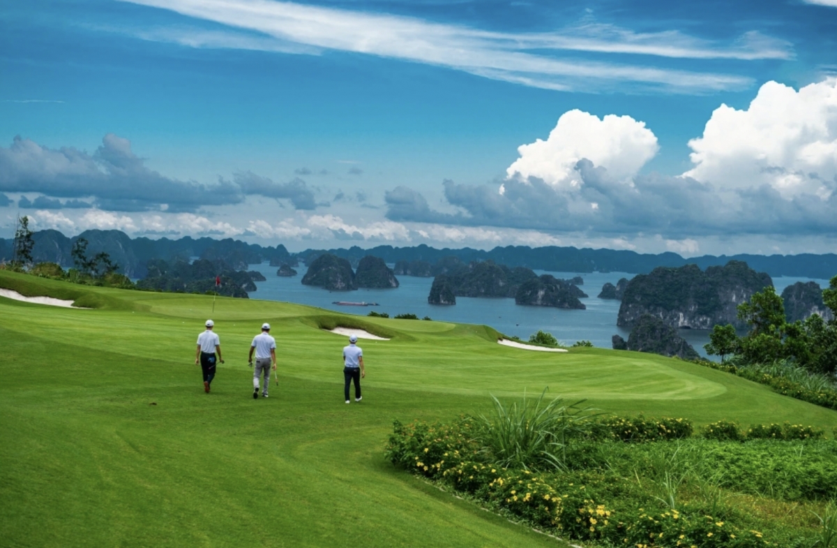 Vietnam emerges as preferred destination for Dubai investors